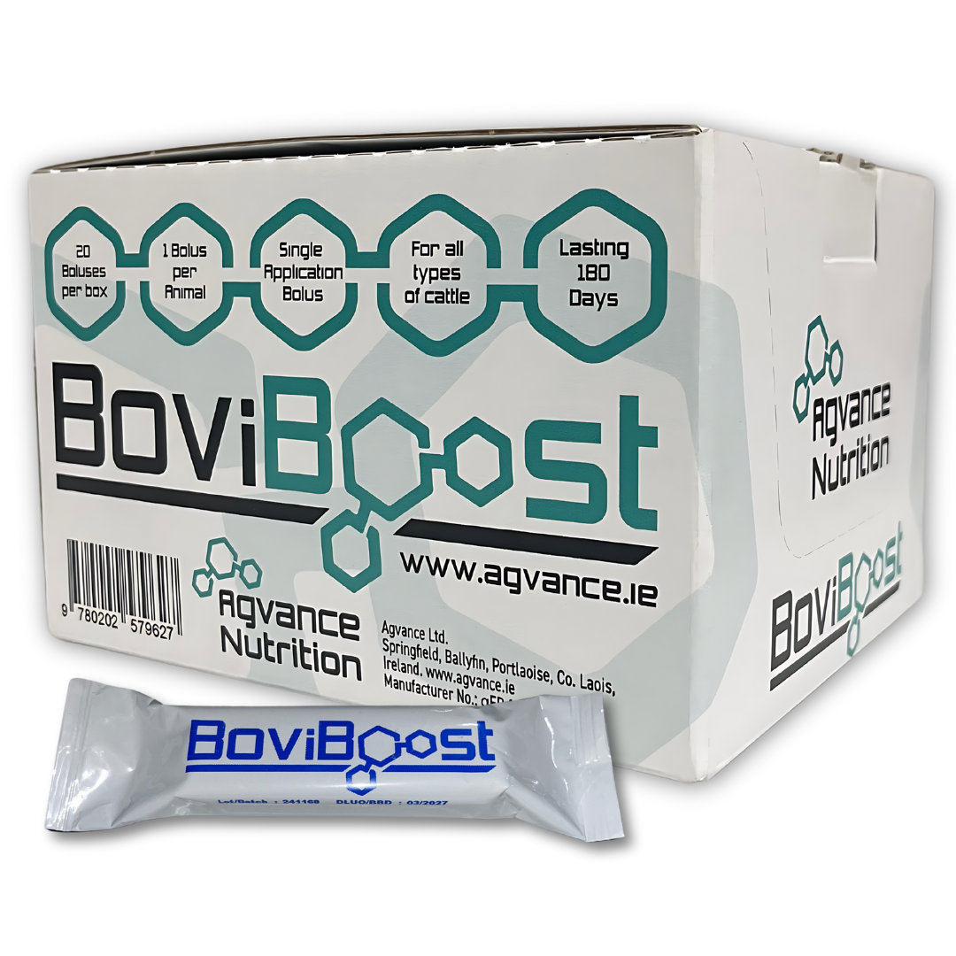 BoviBoost Bolus + Applicator – 20 Adult Applications per Box