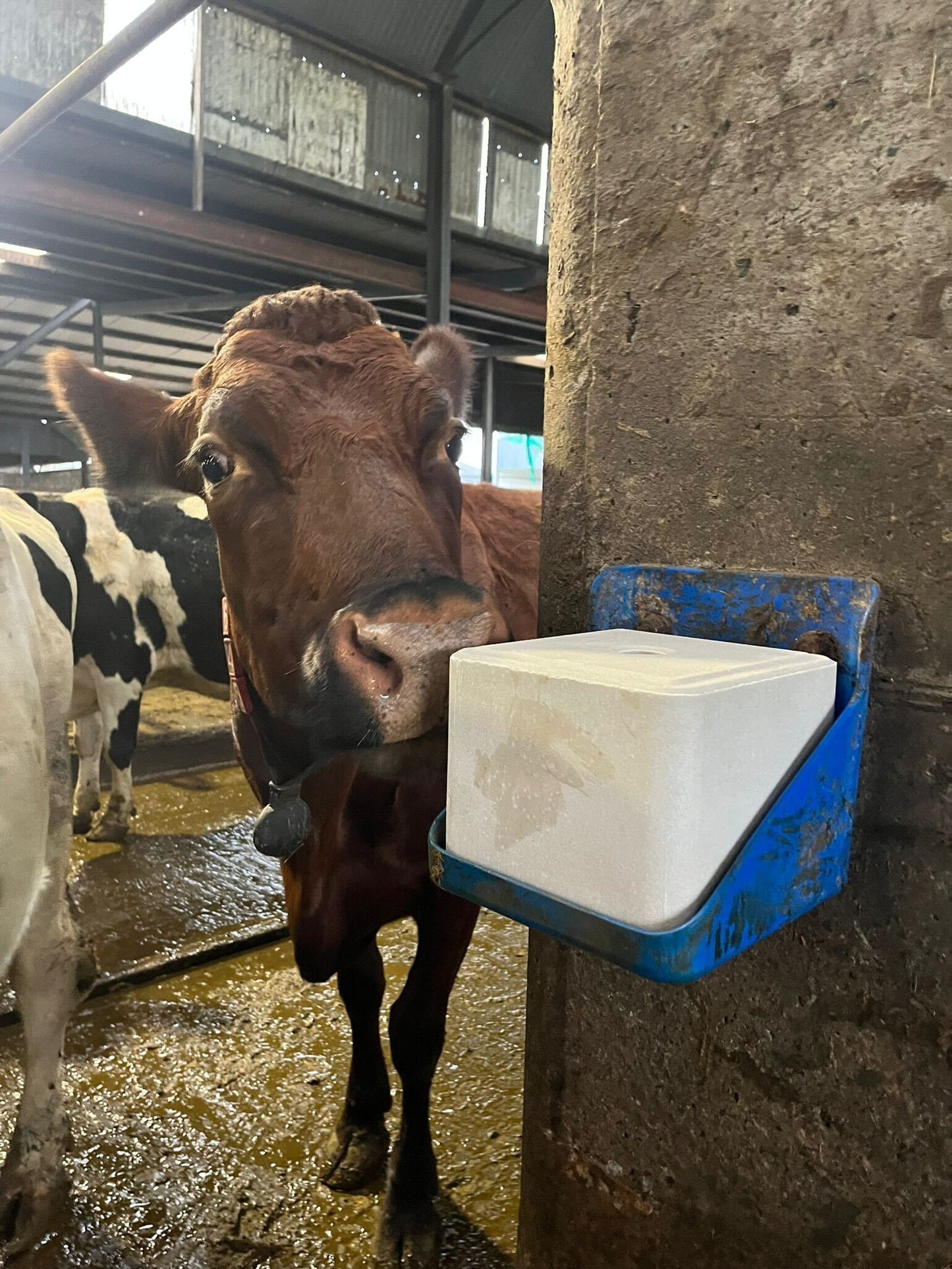 Super Phos 7% High Fertility Mineral Packs