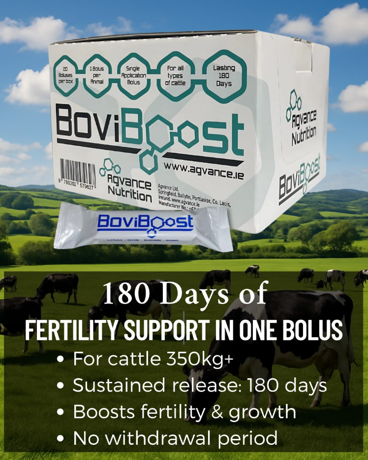 BoviBoost Bolus + Applicator – 20 Adult Applications per Box