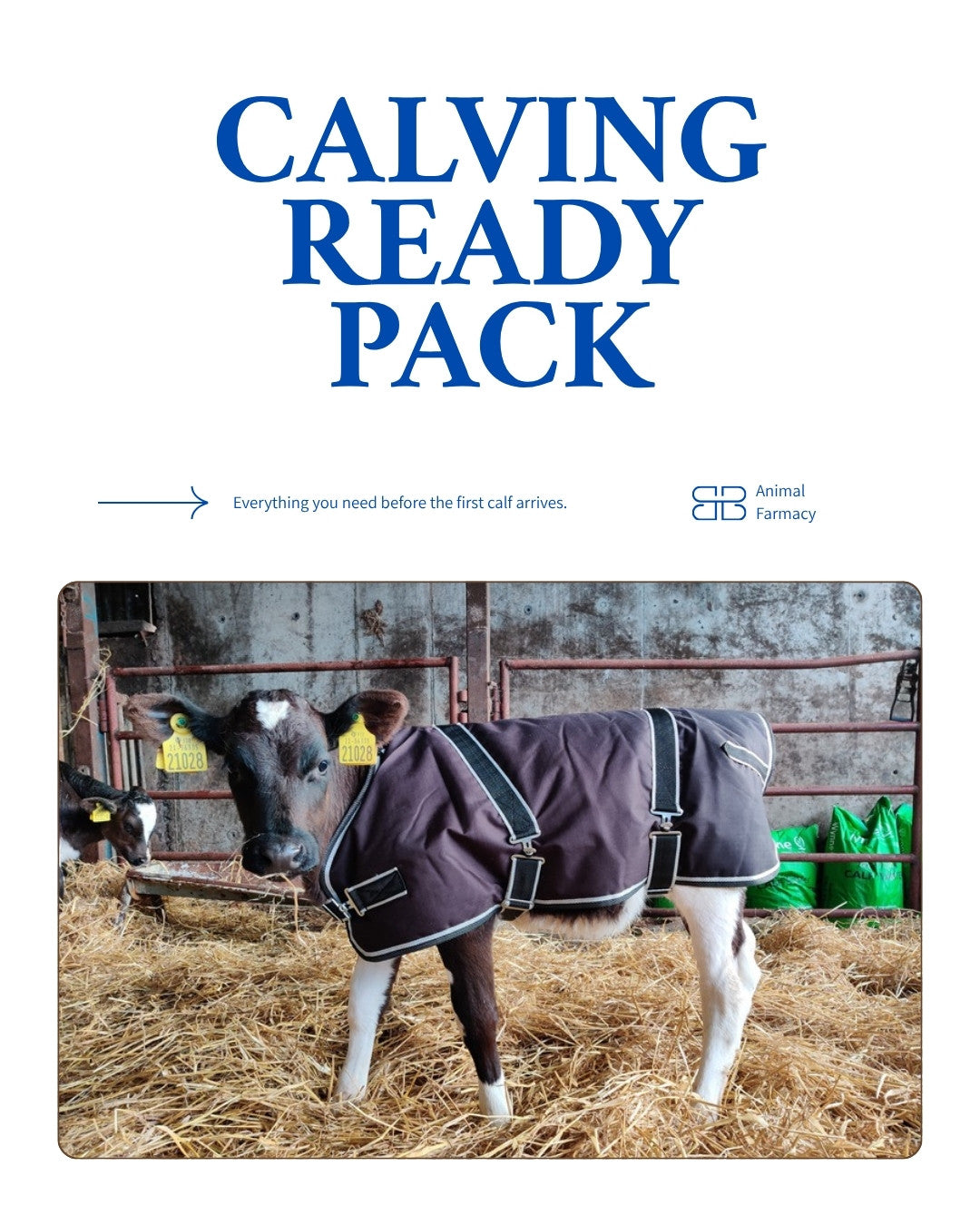 Calving Ready Pack: what's in the pack