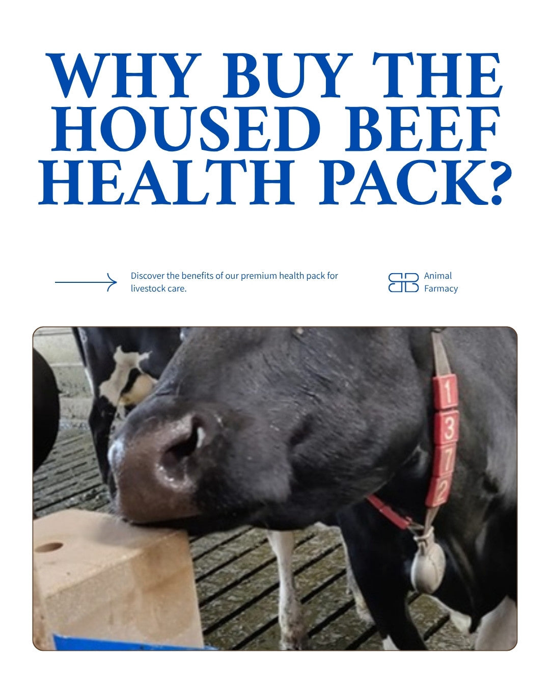 Why buy the Housed Beef Health Pack