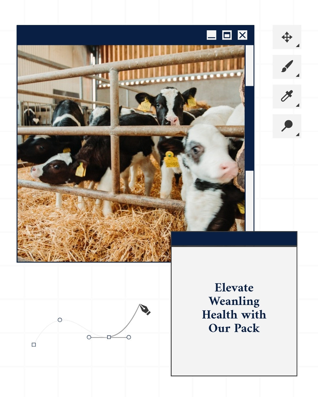 Housed Weanling Respiratory Pack: what's in the pack