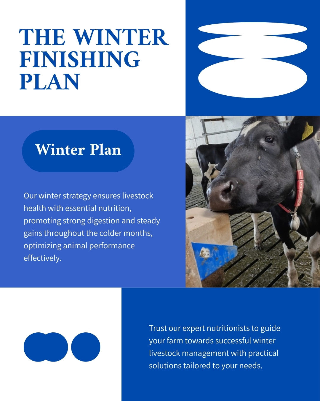 The winter finishing plan infographic