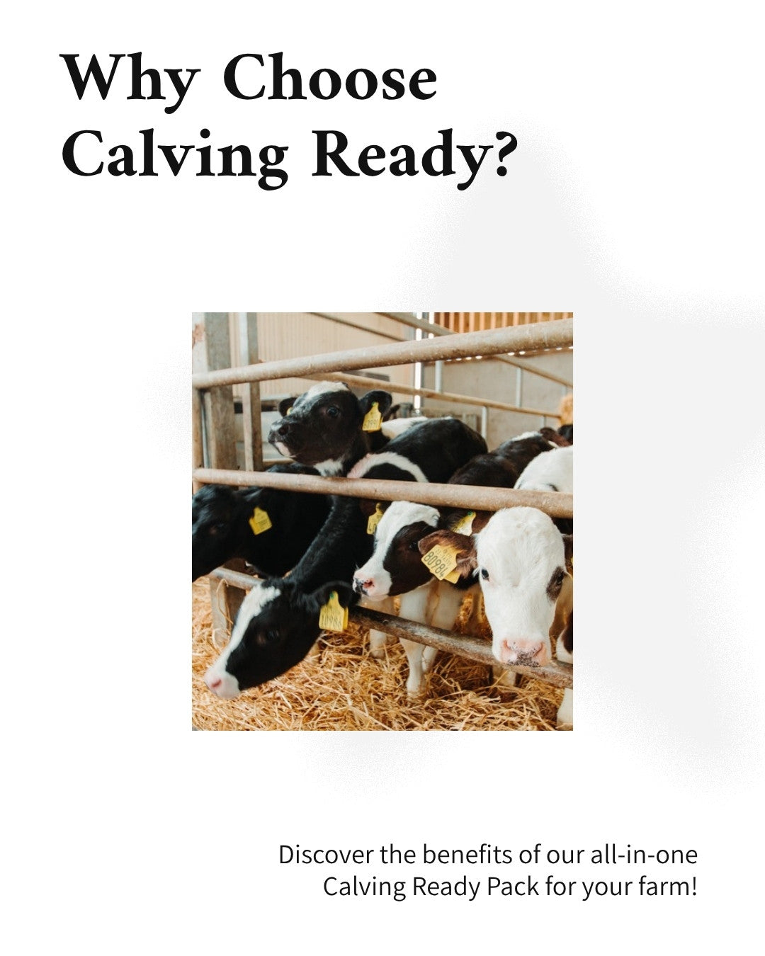 Why buy the Calving Ready Pack
