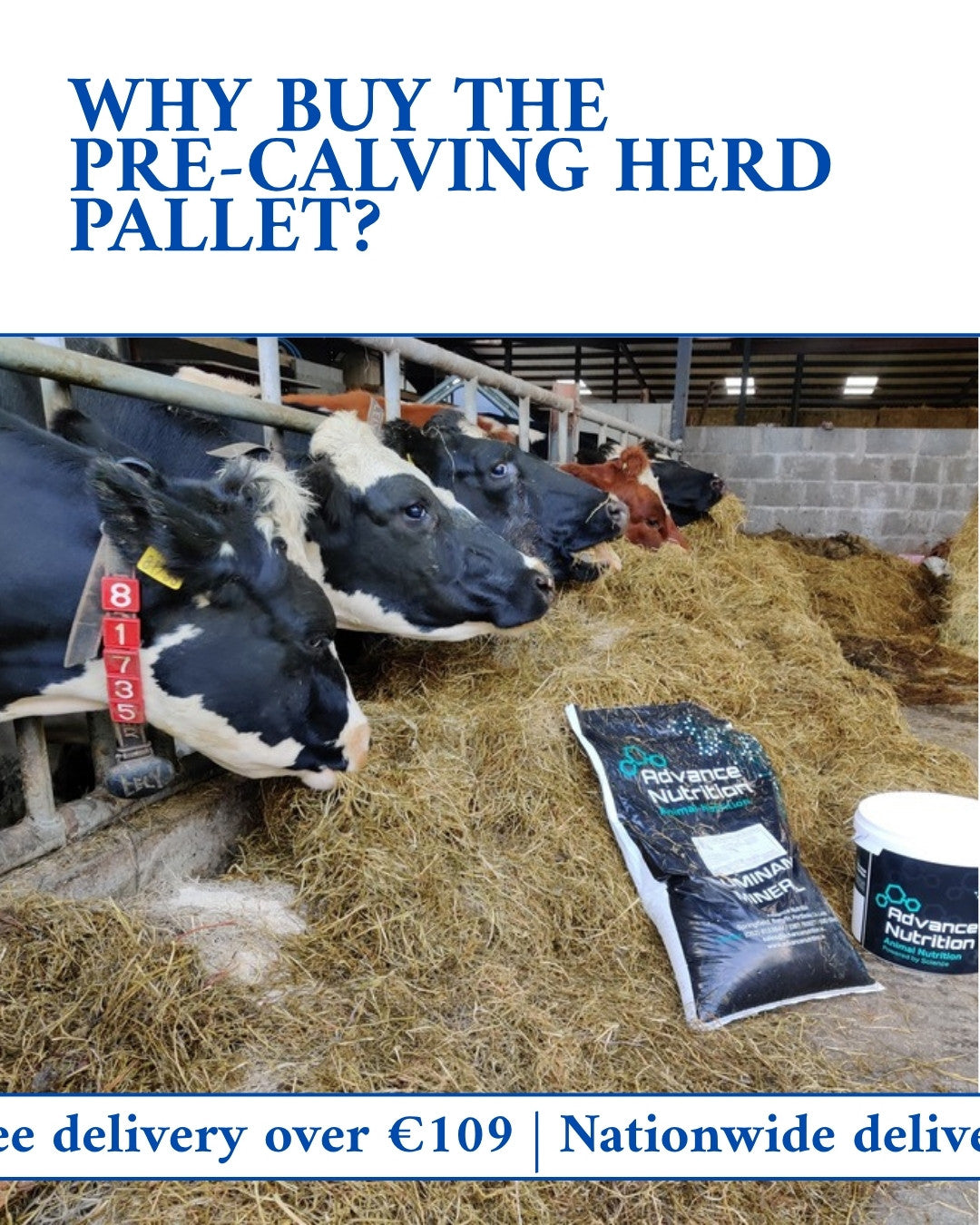 Why buy the Pre-Calving Herd Pallet