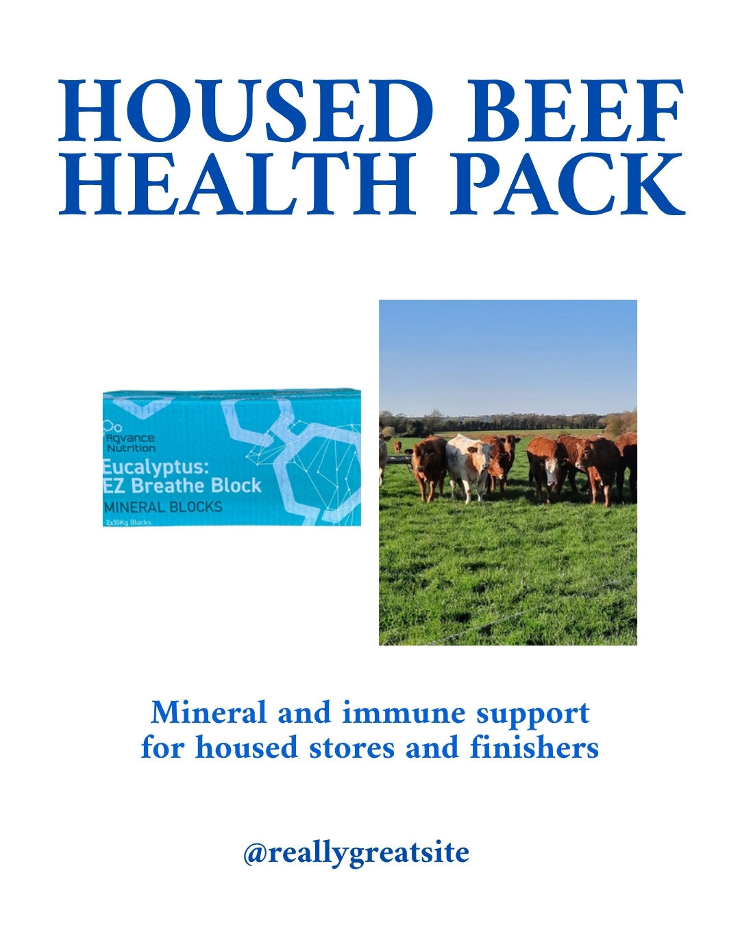 Housed Beef Health Pack: what's in the pack
