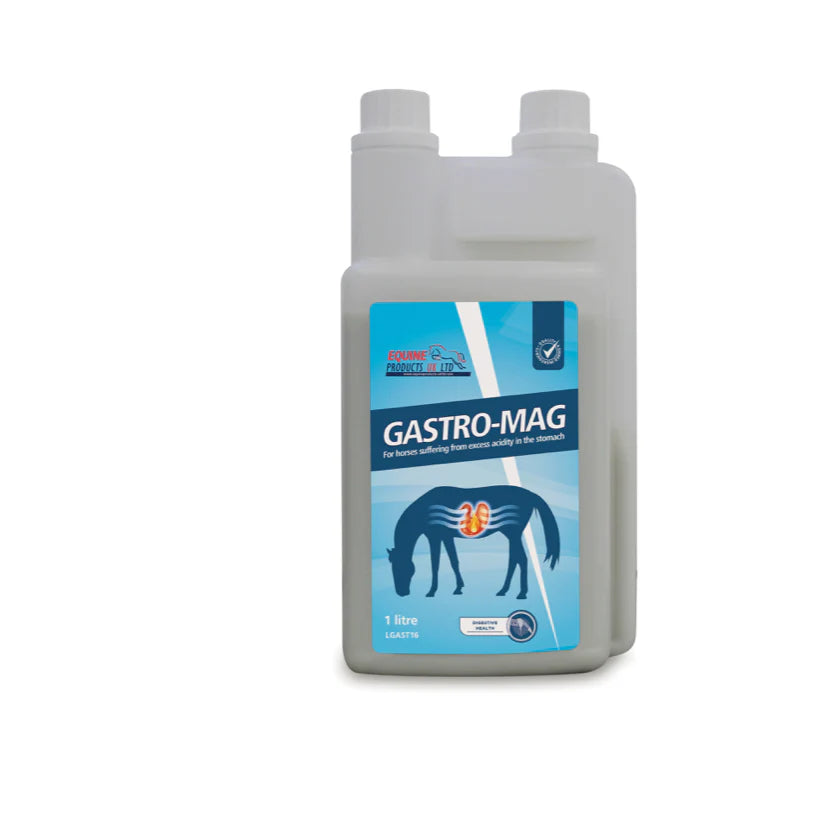 Gastro-Mag 1lt