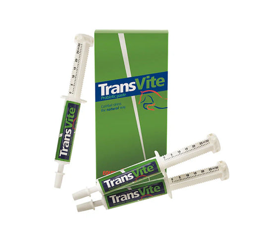TransVite Paste (3x30g)