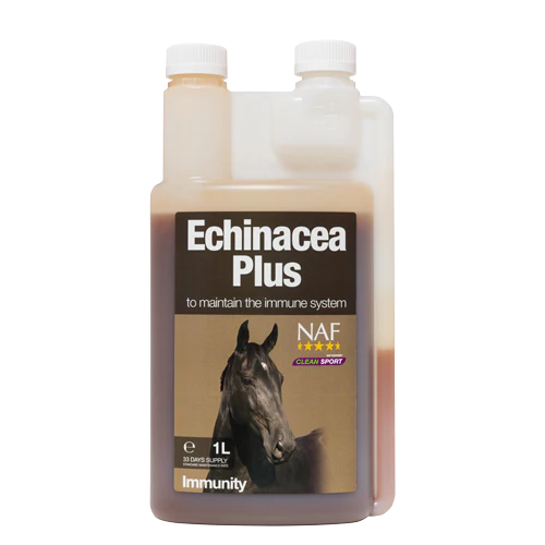 Echinacea Plus 1Ltr