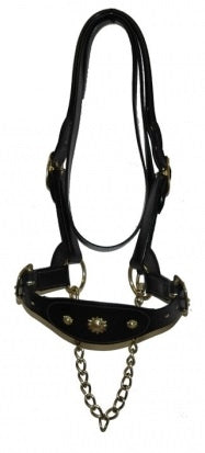 Traditional Halter Strong Double Leather