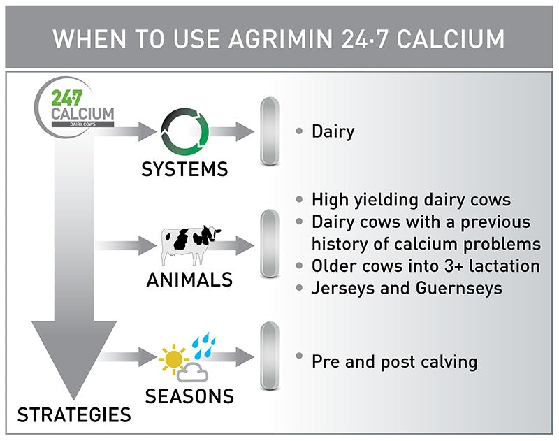 Agrimin 24.7 Calcium Bolus 12's