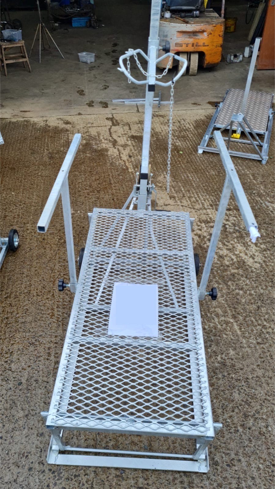 Sheep Grooming Table with Winch & Headlock Gate