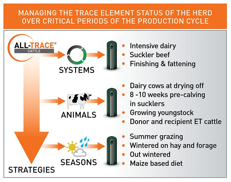 All Trace Cattle Boluses