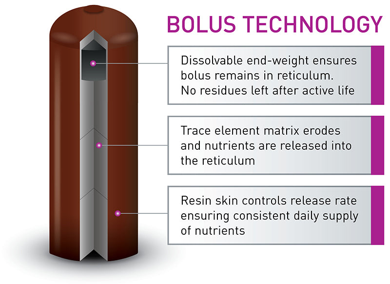 Bolus Technology