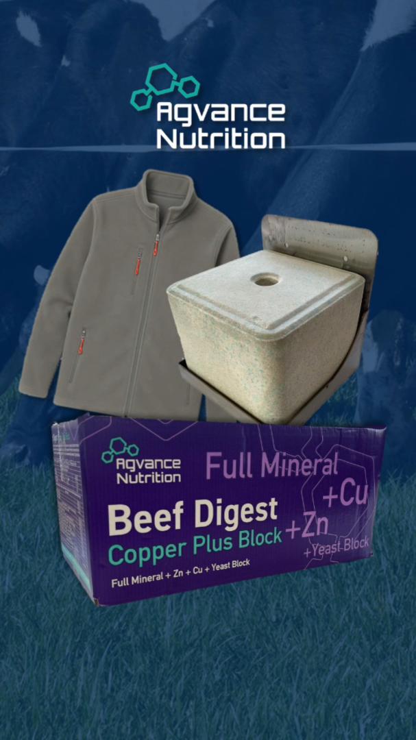 Beef Digest Copper Plus Block 20kg