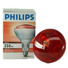 Philips Heat Bulb|Animal Farmacy
