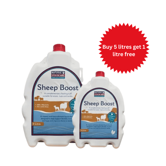 Sheep Boost 5 Litre plus 1 Litre FREE ( Natural Stockcare)
