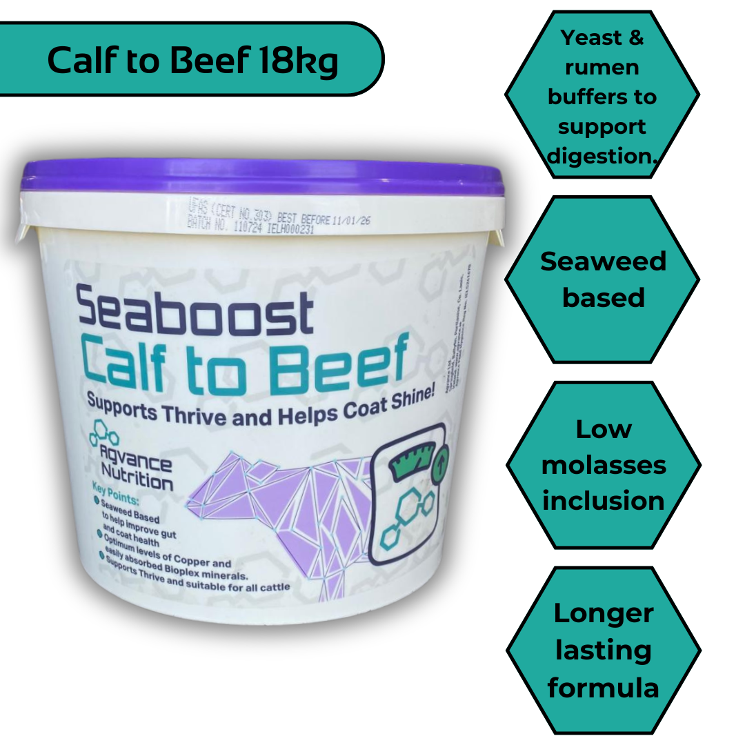 Seaboost Calf to Beef Mineral Bucket