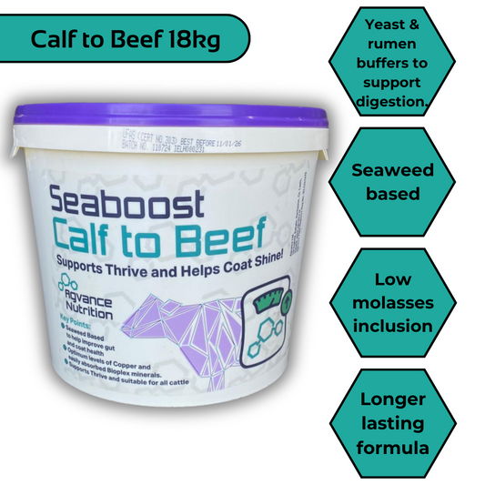 Seaboost Calf to Beef Mineral Bucket