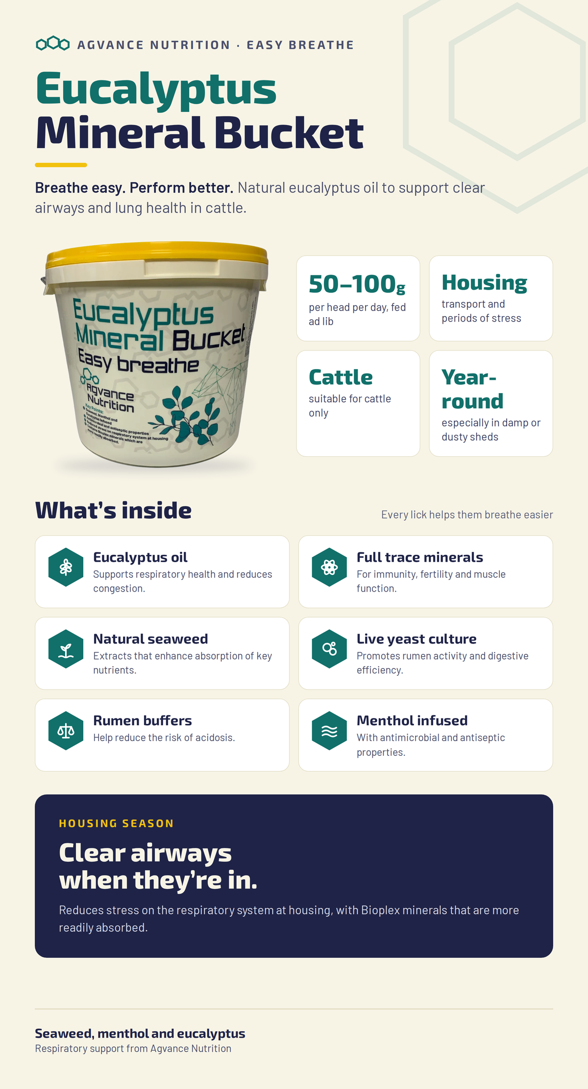 Eucalyptus Easy Breathe Mineral Bucket – Respiratory Support