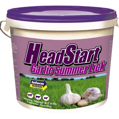 Headstart Garlic Lick|Animal Farmacy