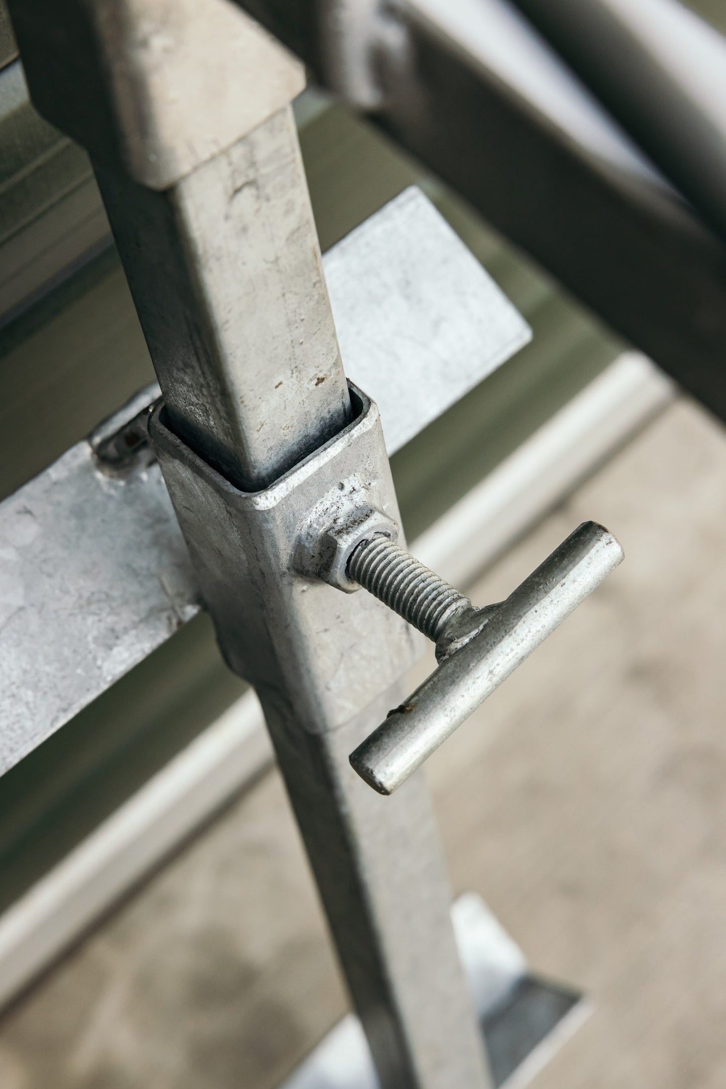 Sheep Headstock