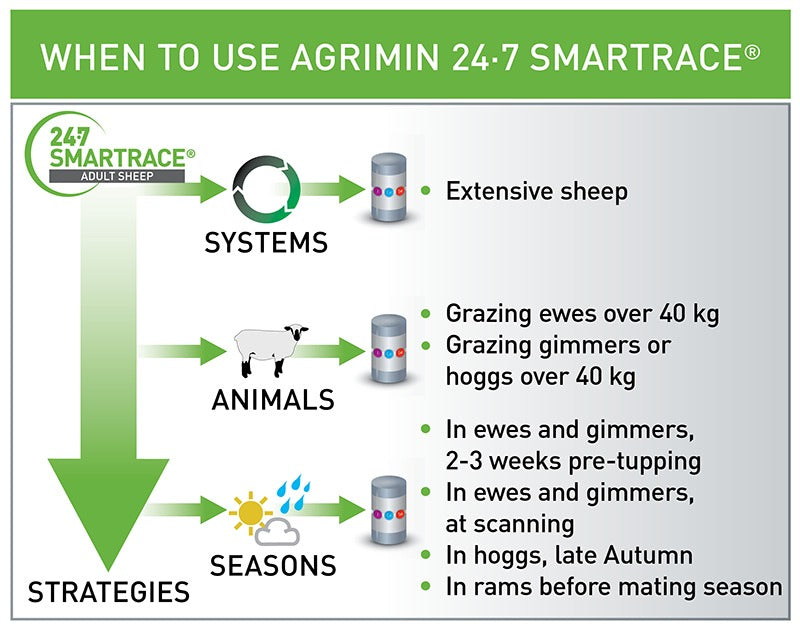 Agrimin 24.7 Smartrace Sheep bolus