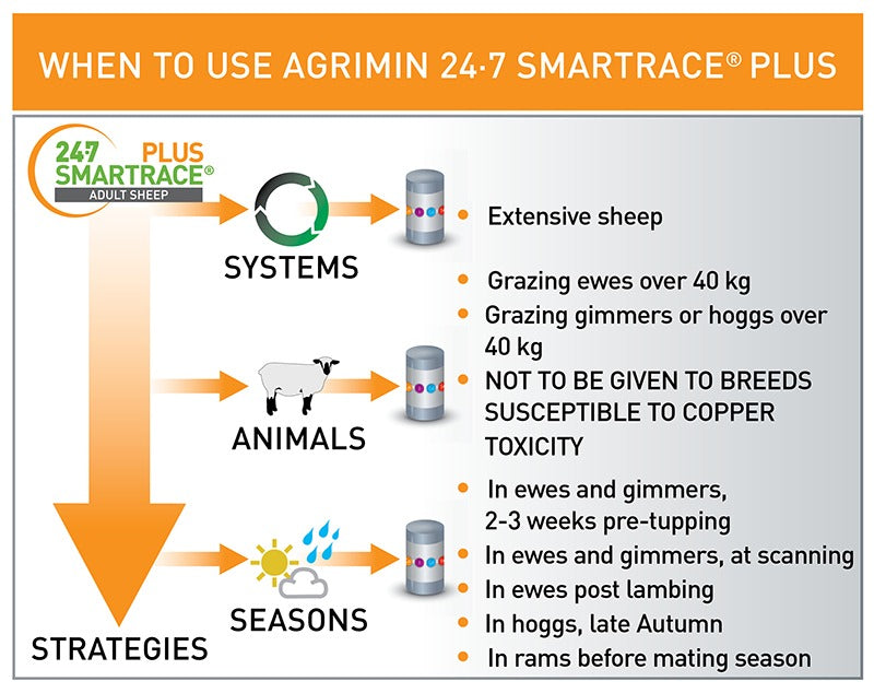Agrimin 24.7 Smartrace Plus Sheep Bolus