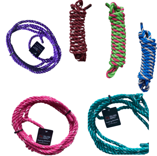 training halter