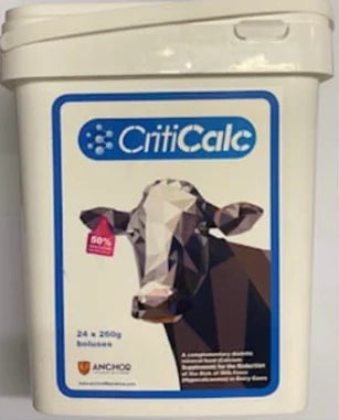 Criticalc