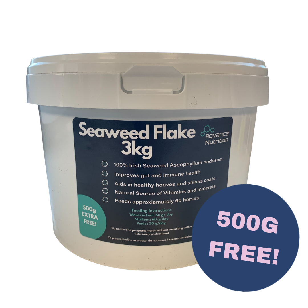 Agvance Seaweed Powder 3kg + 500g Free