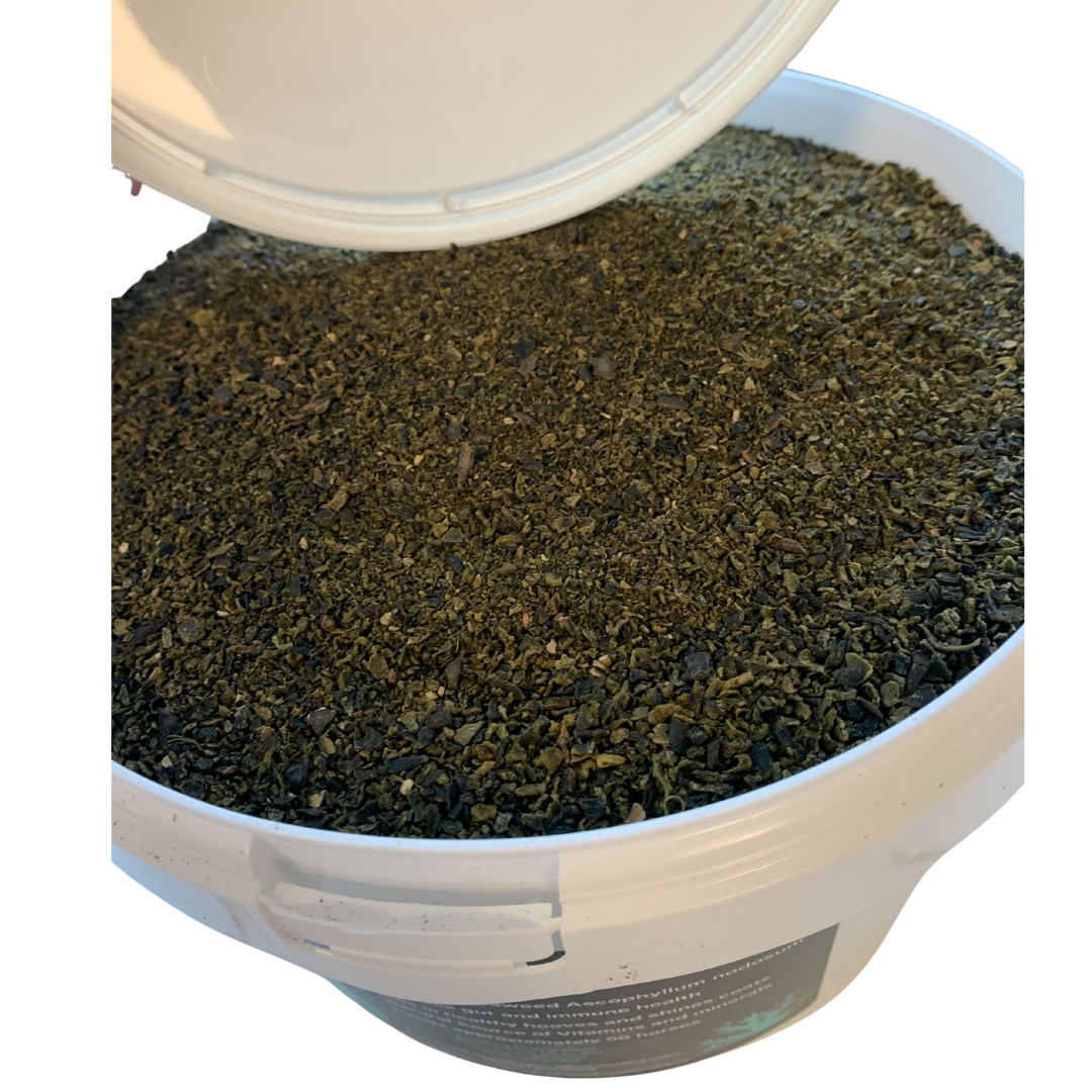 Agvance Seaweed Powder 3kg + 500g Free