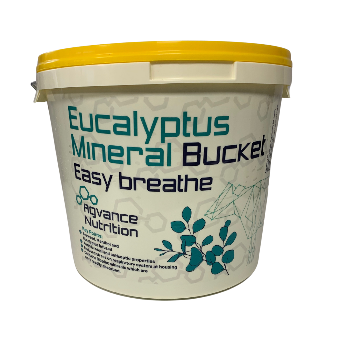 Eucalyptus Mineral Bucket