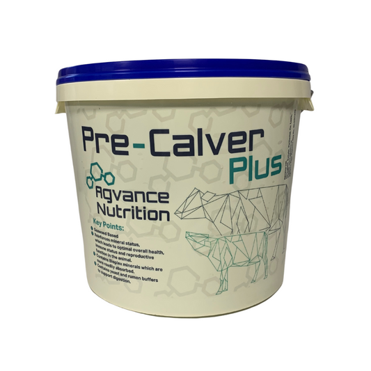 Pre Calver Plus Mineral bucket