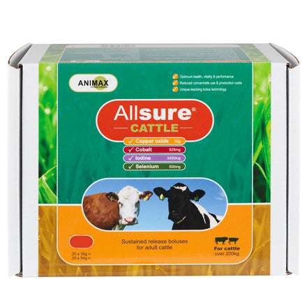 all sure cattle bolus animal farmacy