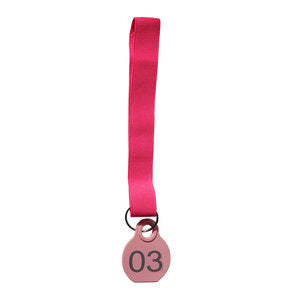 Surrey Fields Calving Collar (Blue) 11-20