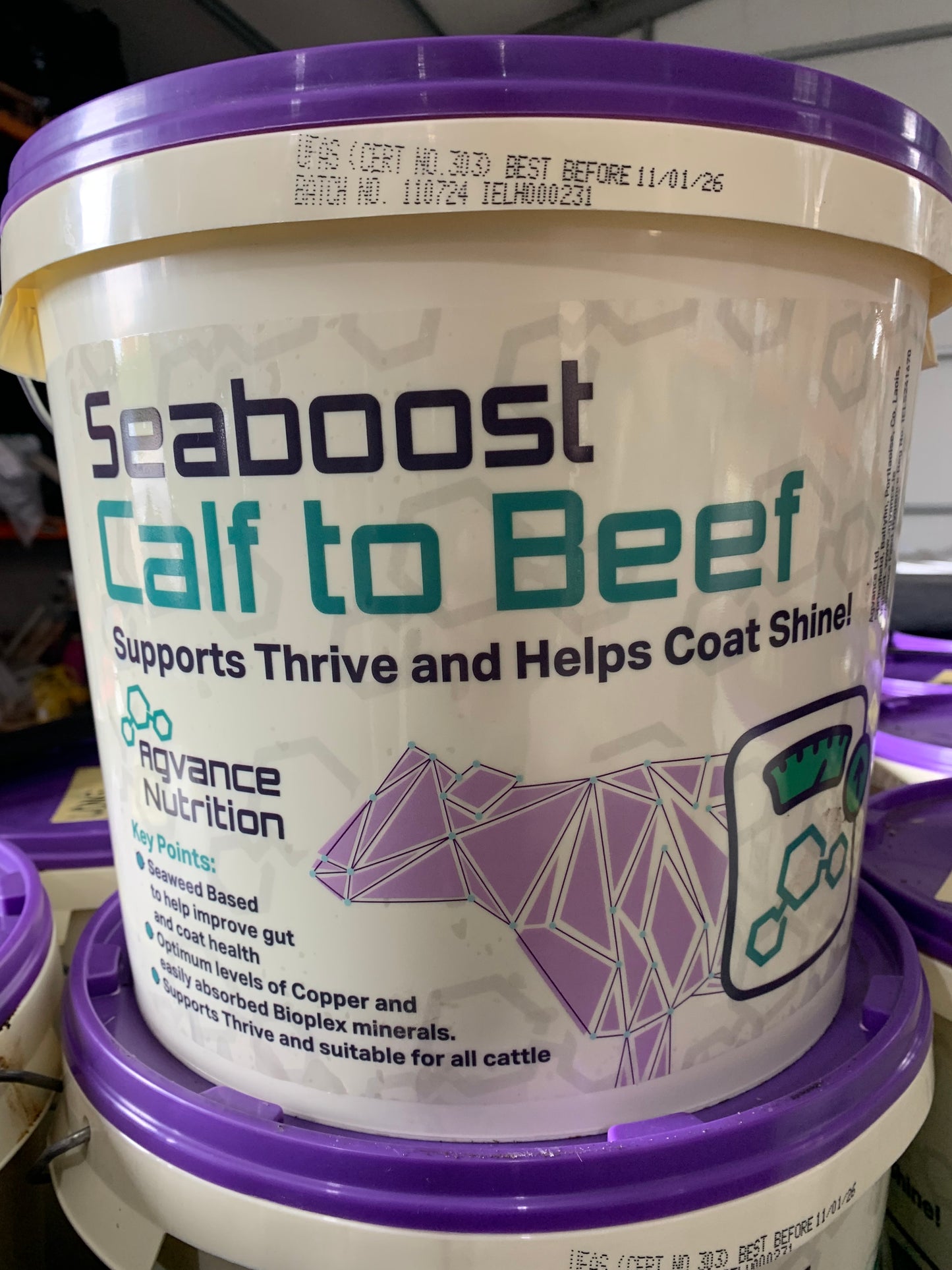 Seaboost Calf to Beef Mineral Bucket