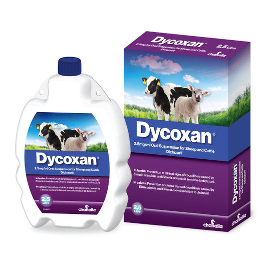 Dycoxan Oral Suspension