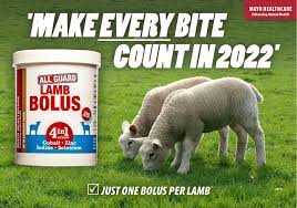All Guard Sheep and Lamb Bolus 4 In 1