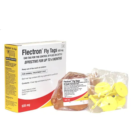 Flectron Fly Tag