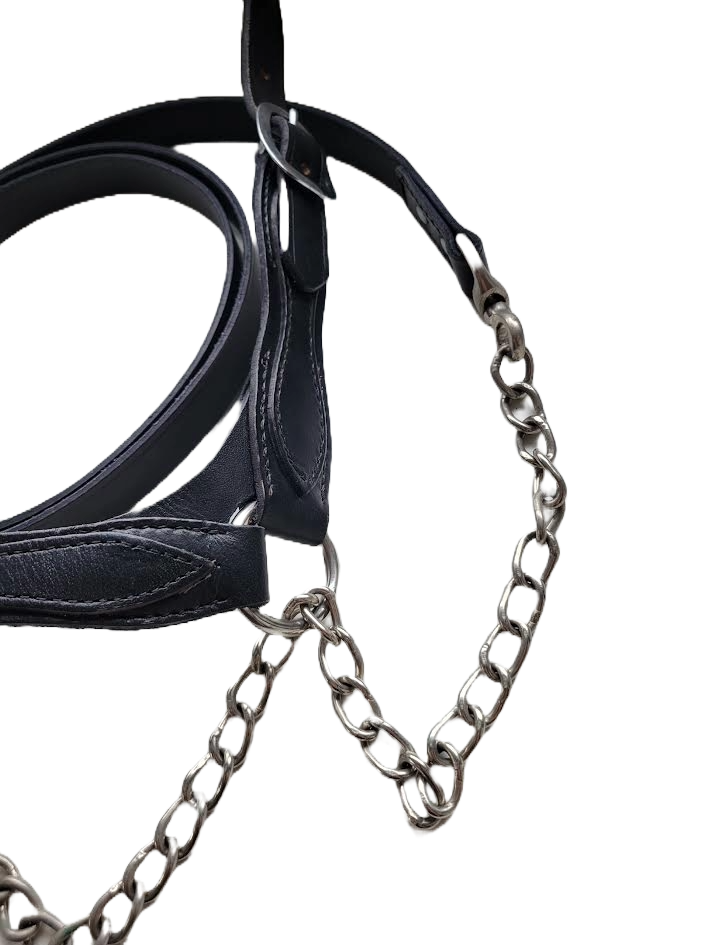 Agvance Flat leather Show Halter - Medium