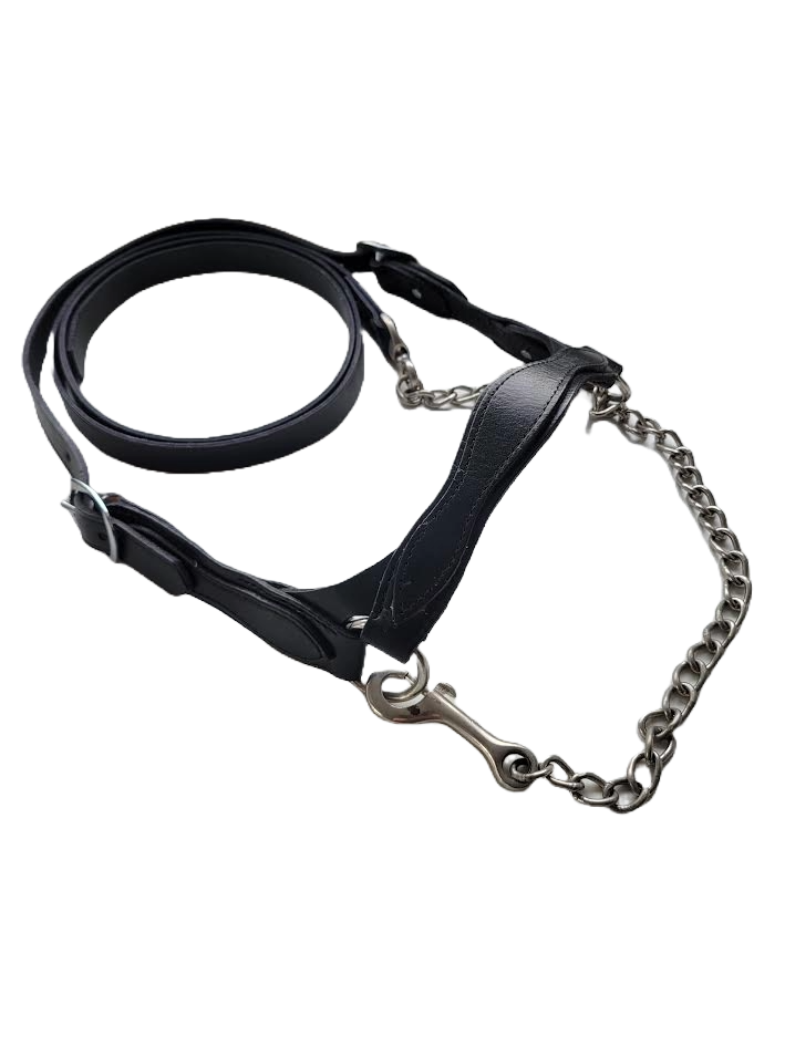 Agvance Flat leather Show Halter - Medium