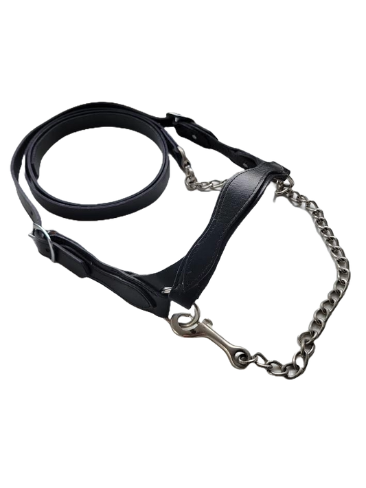 Agvance Flat leather Show Halter - Medium