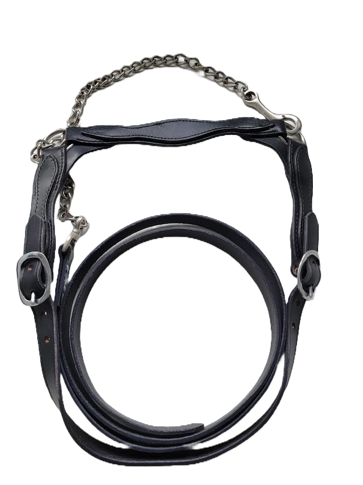 Agvance Flat leather Show Halter - Medium