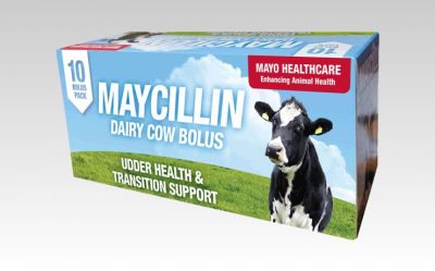 Maycillin |Animal Farmacy