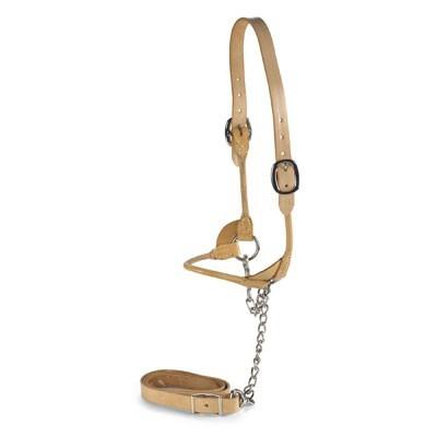 Natural Leather Rolled Halter|Animal Farmacy