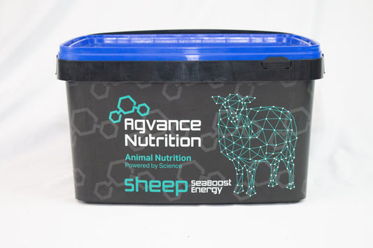 Agvance High Energy Sheep Mineral Bucket