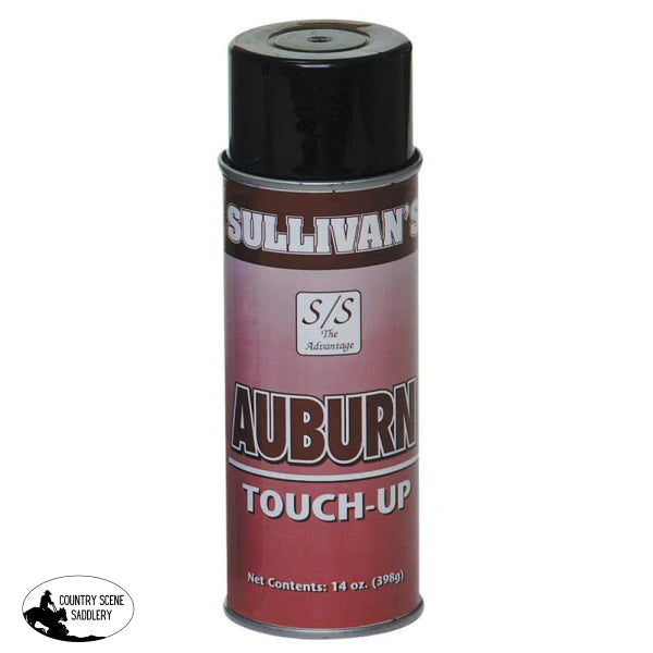 auburn touch up