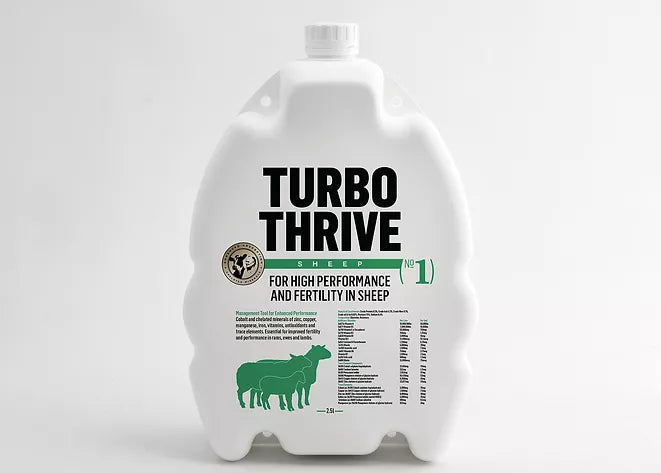 Turbo Thrive for High performance and fertility in Sheep
