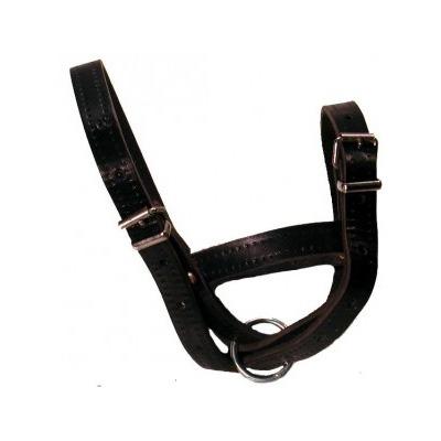 Traditional Halter Strong Double Leather - Animal Farmacy